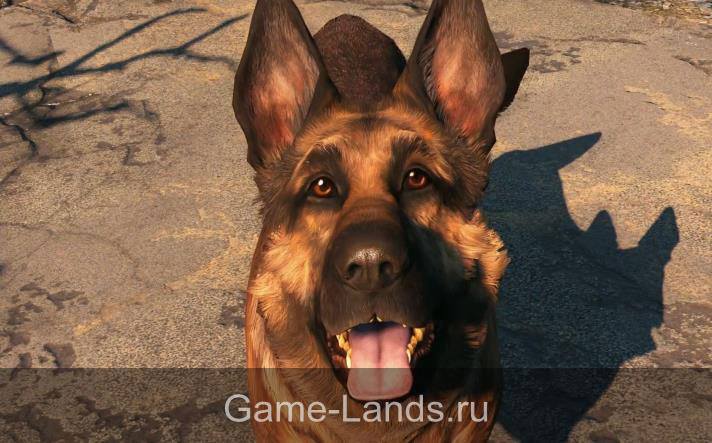 Fallout 4 Компаньоны и спутники Пес
