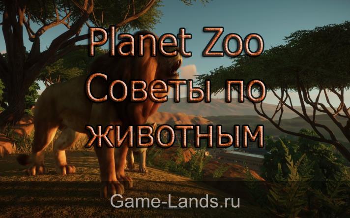 Planet Zoo – Советы по животным