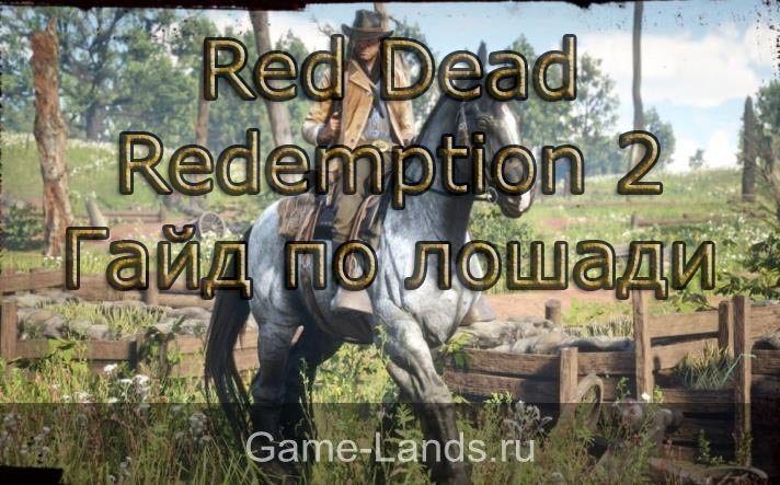 Red Dead Redemption 2 – гайд по лошади