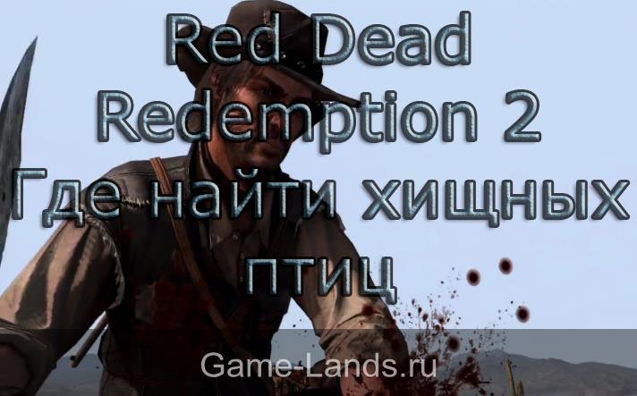 Red Dead Redemption 2 – где найти хищных птиц