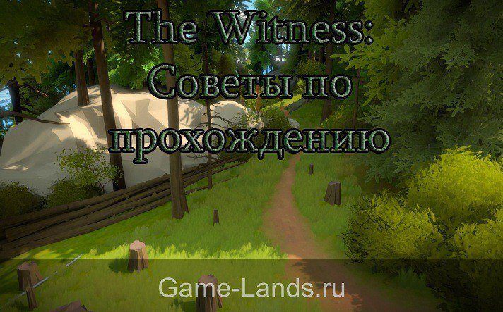 Советы по прохождению игры The Witness