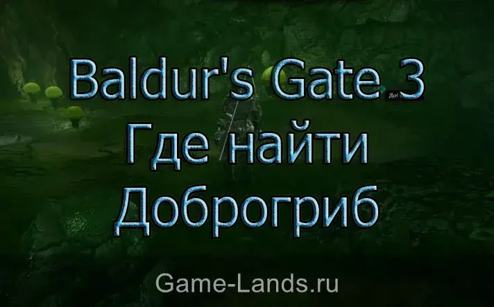 Где найти Доброгриб Baldur's Gate 3