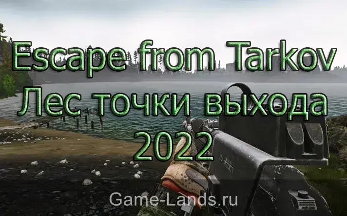 Escape from Tarkov Лес точки выхода 2022