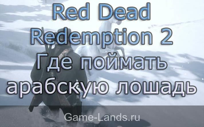 Red Dead Redemption 2 – где поймать арабскую лошадь