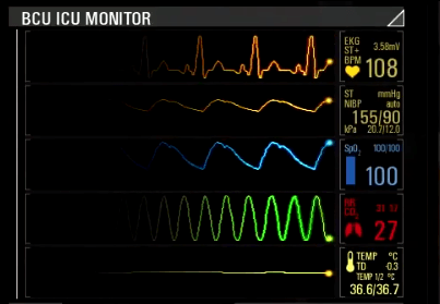 BCU ICU Monitor