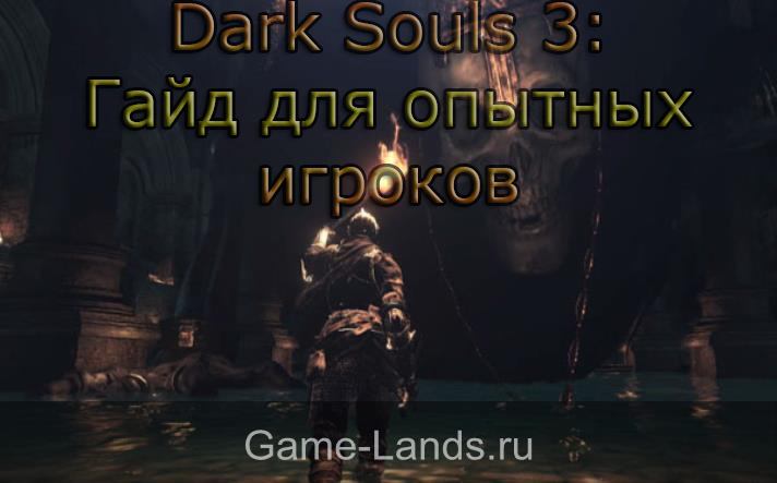 советы опытным игрокам dark souls 3